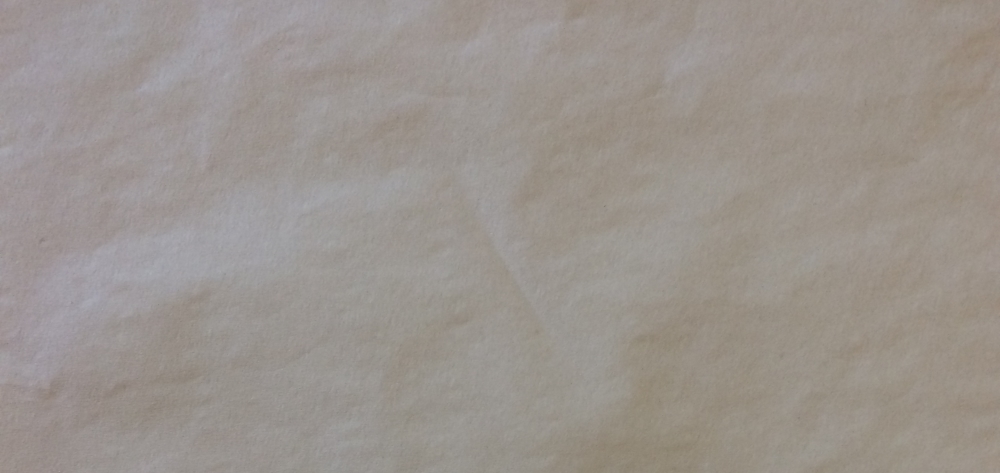 We are happy to introduce an ‘ivory’ color virgin pulp available both in the parent reels and our own converted products.